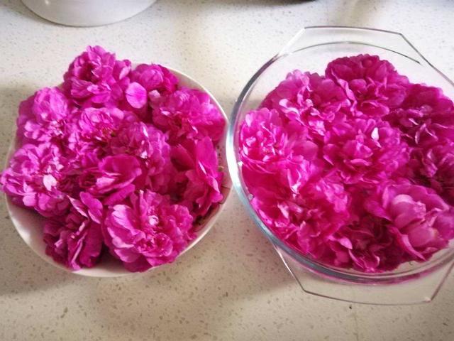 4種花用處多，摘下花瓣泡茶喝，還能清熱解暑