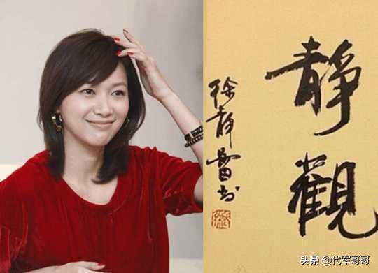 字写得非常好的女明星，张馨予第八，徐静蕾第二，陈松伶排第几？