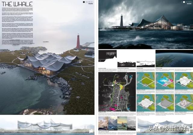 BIG惜败！再牛的方案也比不过一头鲸