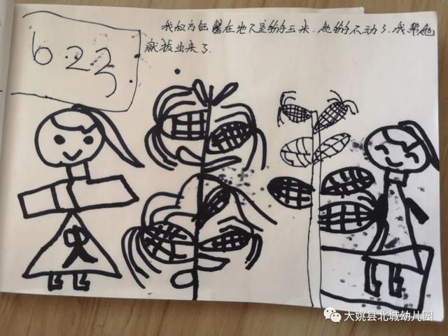 幼儿园自然教育与劳动实践：“开心菜园”里的故事