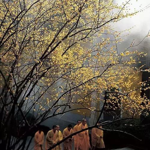 Ψһ��𽱵ķ����Ӱ��̫����ˣ�