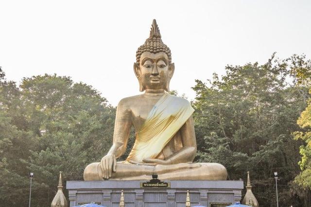 �������²�ɣ�����İ�Ȼ������������˵���ף���������顣