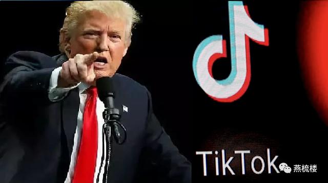 特朗普：没有人比我更懂抖音