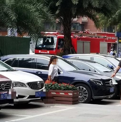 主人|盗窃欲拍晕主人结果把人打醒 迷惑！