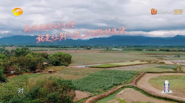 向往4：揭秘带货女王薇娅的直播间，当红小生们看得赞不绝口