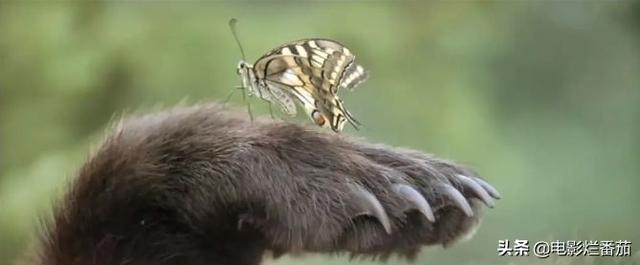 ����9.1�֣���ʵ�¼��ı࣬�ⲿ���ص�Ӱ���ҿ�һ�ο�һ��