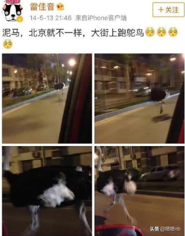 明明星以前发的微博有多搞笑？井柏然中二，雷