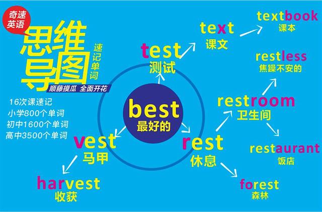 暑假英语补习班,是选在线英语网课还是线下夏令营培训班好?