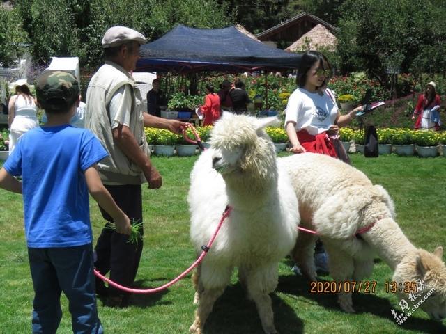 旅游旅行在丽江！人间值得