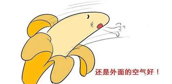 暑假来了，你家男娃割包皮不？这里有攻略哦