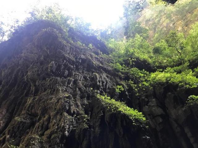 重庆最值得一去的景区，夏天的避暑胜地，被誉为“西南神农架”