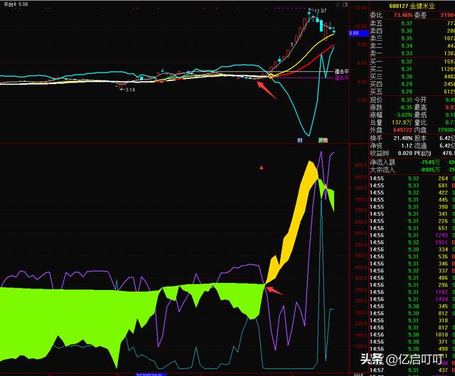 再追剁手大家看着办