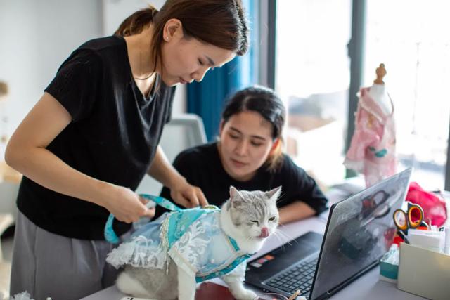 结束北漂开网店：没花一分钱推广月入七万，顾客最久等了22天