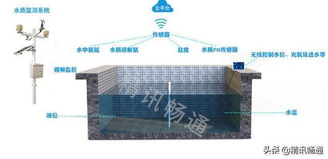 什么是智慧水产养殖智慧水产养殖设备有哪些