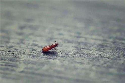 ���ã�Ϊ�����Ͼ�����һĨ����