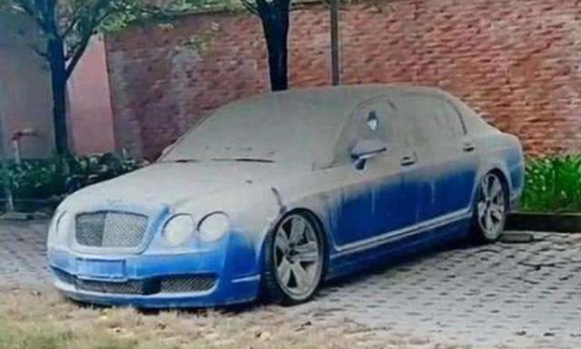 小树林成“豪车坟场”，百万豪车落灰无人敢动