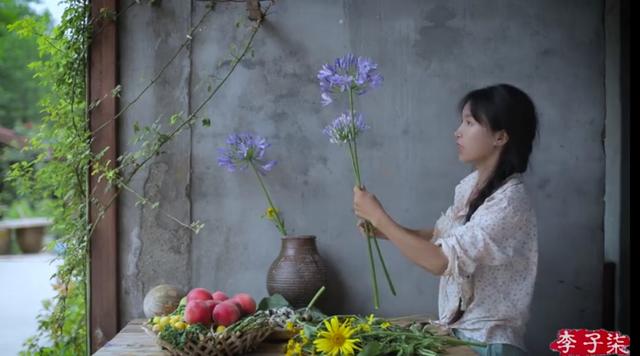 越南博主抄袭李子柒，拍摄手法如出一辙，网友痛斥“不要脸”