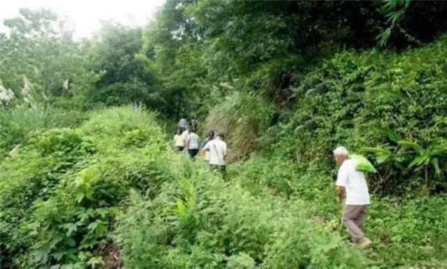 21年生15个孩子，75岁老汉成网红，如今一家17口过