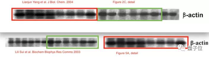 南开校长曹雪涛团队12篇论文被调查