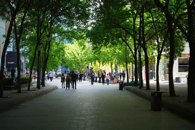 疫情下北京大学周边店铺的生存实况——亏损、