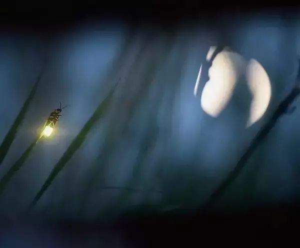 八月|七月，再见！八月，你好！祝你岁月无波澜，敬我余生不悲欢