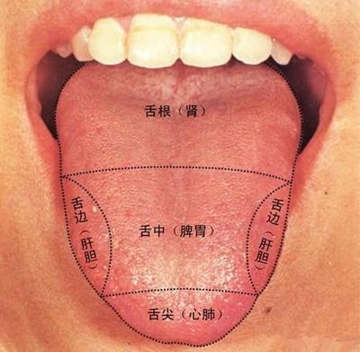 中医四诊：望闻问切，重点归纳，学会了当自己的医生