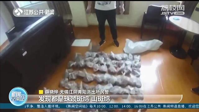 男子3个多月非法狩猎1000多只斑鸠 民警：20只就构成刑事处罚