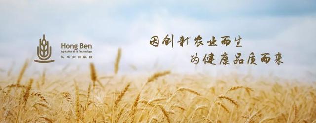 杨凌弘本农业：以"做好中国健康富硒农产品"为使命