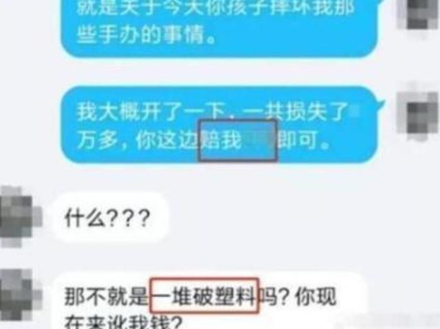 小學生玩鬧毀掉宅男手辦，家長拒絕賠償：一堆塑料你來訛我？