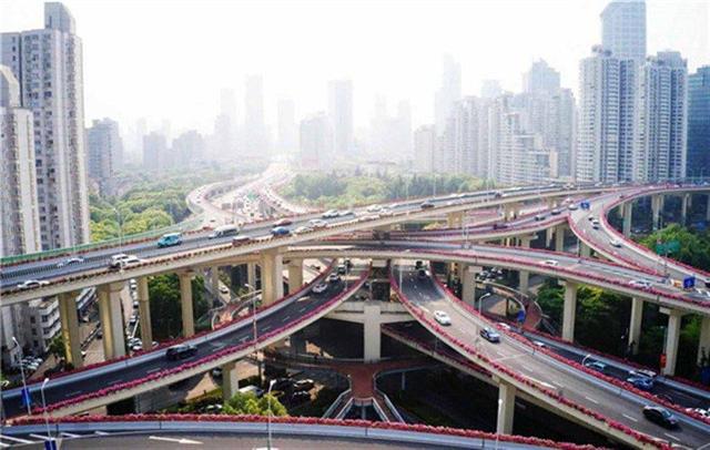 16万箱摆花55万株月季串起申字型高架 你被空中花