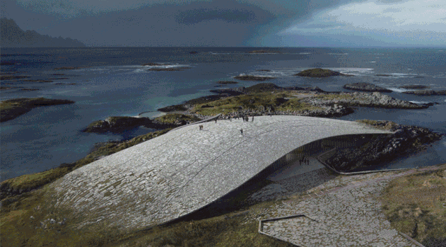 BIG惜败！再牛的方案也比不过一头鲸