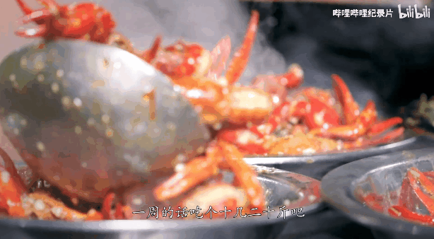 考得好不如选得好！终于等到这部纪录片，揭开