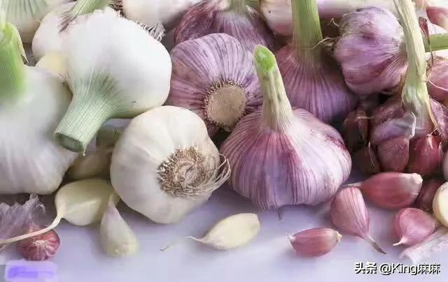 5月新蒜上市，注意啦！這樣儲(chǔ)存才是正確的，放1年都不怕！