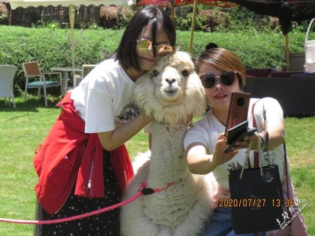 旅游旅行在丽江！人间值得