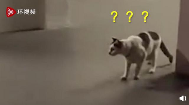 ¼ֻվһ؈䱻ɵW(wng)XaܸЦ