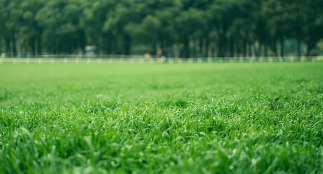 大手笔！武汉这三个区好消息爆棚！第一个区就让人羡慕不已