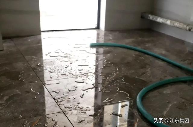 江東境界 | 不負光陰，不負所期