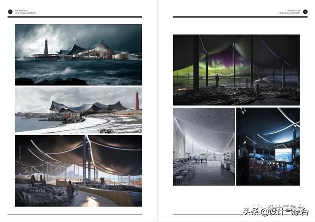 BIG惜败！再牛的方案也比不过一头鲸