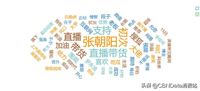 开豪车上下班、直播卖加湿器，搜狐张朝阳的双