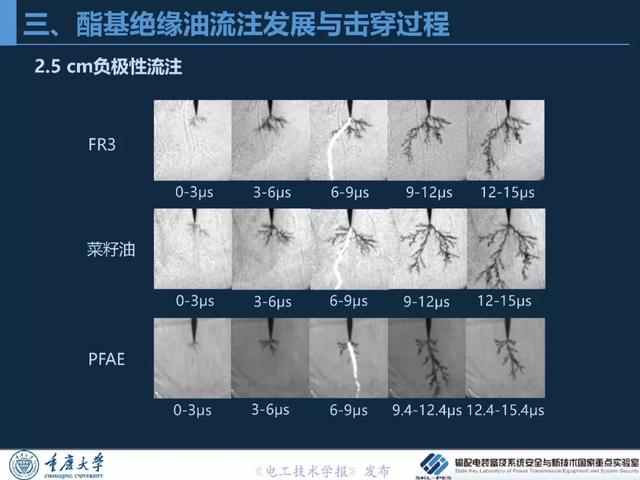 重慶大學(xué)王飛鵬研究員：高性能酯基絕緣油與變壓器應(yīng)用