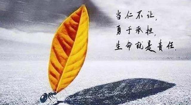 如果你负债几十万，收入又供应不上开销和还债