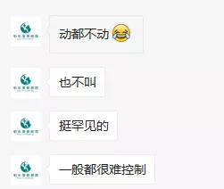 没错，狗也能献血，但被“人”喷闲得慌，说狗不配人的待遇