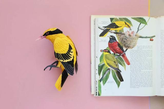 国外小姐姐玩转纸艺，用生活材料打造美丽的鸟