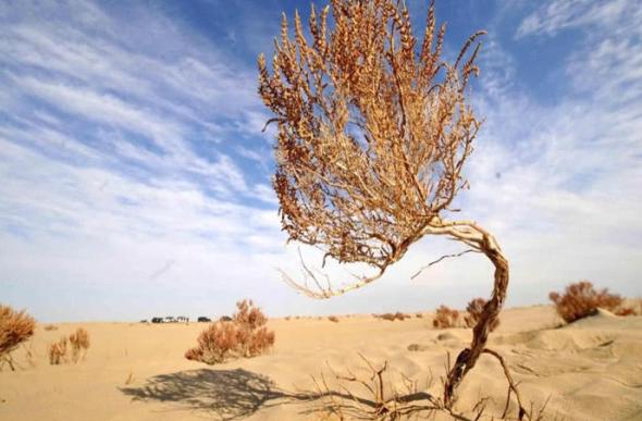 “中国之耳”渐渐复苏，凭空出现大量水资源，它的力量从哪来的？