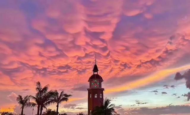 三亚1.5h直达！这座全国荔枝第一甜的海滨古城，