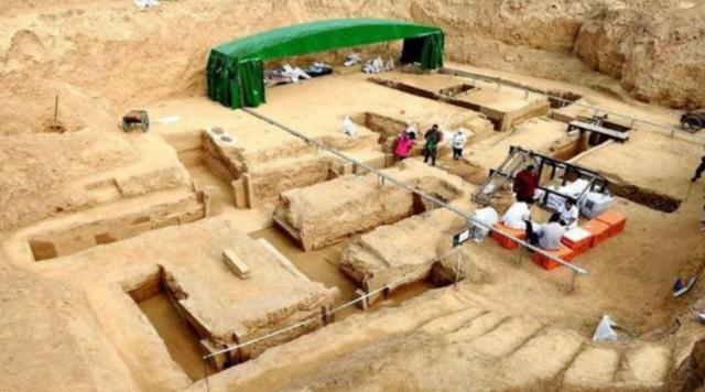 湖北发掘千年古墓，考古队赶到却吓一跳，墓中竟爬出只活乌龟？