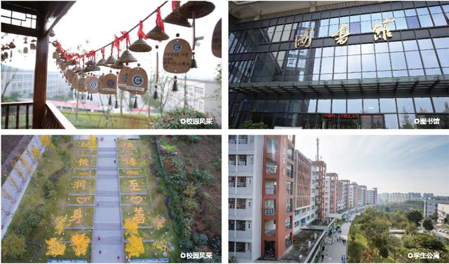 它由成都市人民政府举办的大学，整合多所重点中专，实力很强势