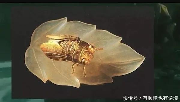 江苏发掘1男4女合葬墓，出土一只“金蝉”，价值