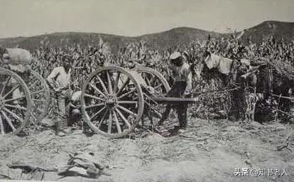 日军向苏军冲锋，苏军却突然停止射击，日军到