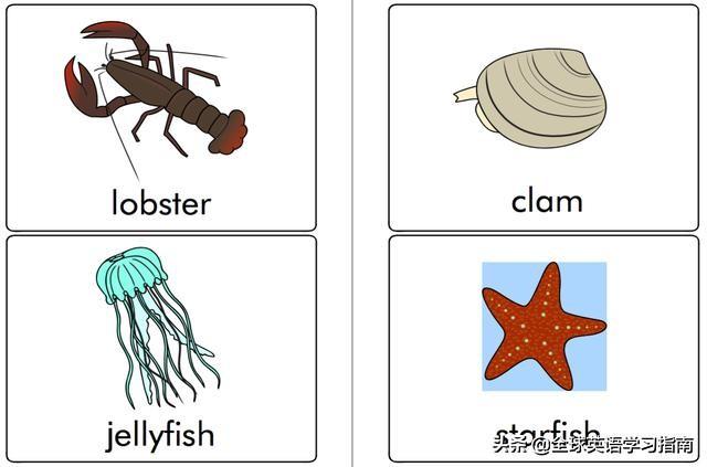 图片[3]-113张图让你记住所有动物类英语单词，分类汇总，建议收藏起来-笑傲英语网